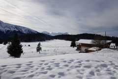 IMG-20240122-WA0005