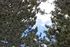IMG-20240122-WA0007