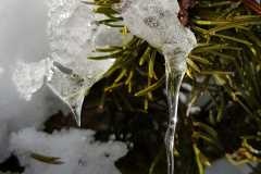 IMG-20240122-WA0014