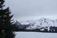 image0000011-15