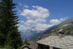 DSC00551