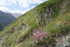DSC00570