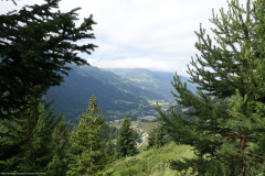DSC00670