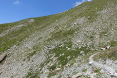 DSC00675