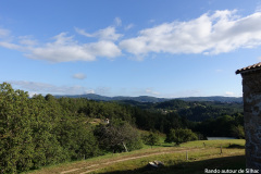DSC07800