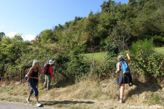 DSC07807