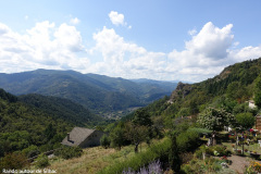 DSC07819
