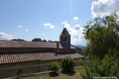 DSC07823