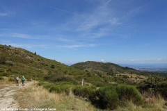 DSC07861