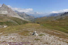 DSC00795