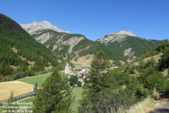 DSC00964