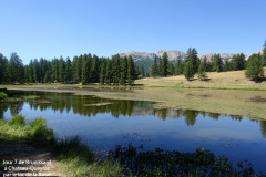 DSC00969