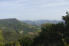1_DSC01113r