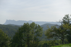 DSC01117r
