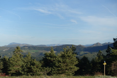 DSC01120r