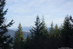DSC01124r
