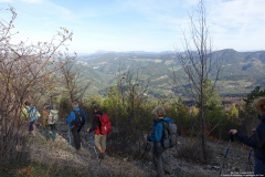 DSC01125r