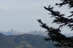 DSC01135r