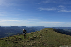 DSC01150r