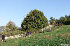 DSC01169r
