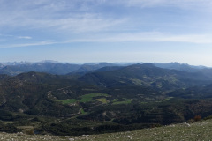 DSC01174r