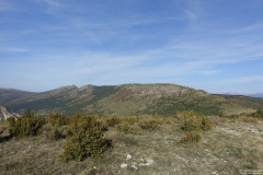 DSC01182r