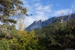 DSC01196r