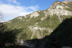 DSC01203r