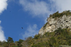 DSC01218r