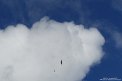 DSC01219r