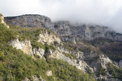 DSC01220r