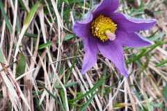 IMG-20250420-WA0008