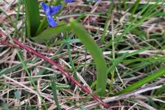IMG-20250420-WA0009