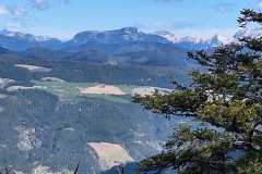 IMG-20250420-WA0012