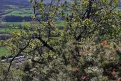 IMG-20250421-WA0003