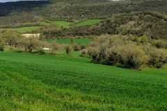 IMG-20250421-WA0005