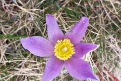 IMG-20250421-WA0010
