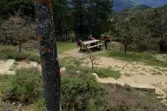 IMG-20250421-WA0012