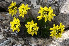 IMG-20250422-WA0006