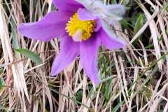IMG-20250425-WA0003