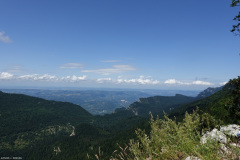 DSC07523