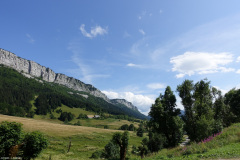 DSC07532