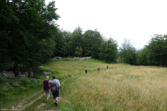 DSC07534