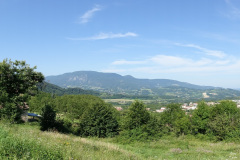 DSC07572