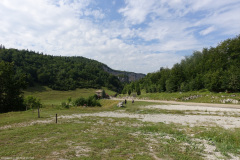 DSC07590
