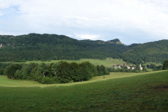 DSC07674