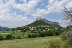 DSC07684