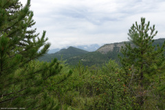 DSC07703
