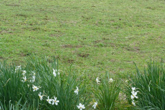 DSC02198