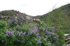 DSC02200